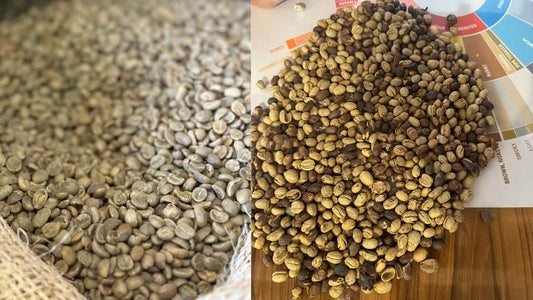 Caffè industriale vs artigianale: differenze reali