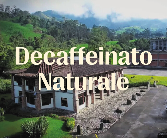 Decaffeinato naturale senza solventi chimici: Zucchero di canna vs all'Acqua.