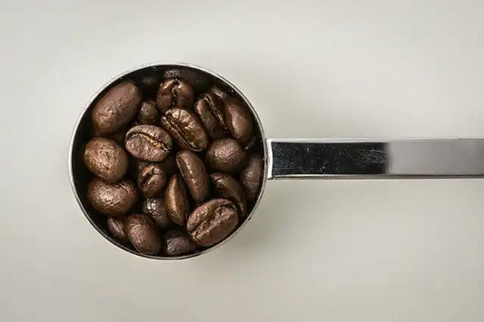 Dove si buttano le cialde del caffè?