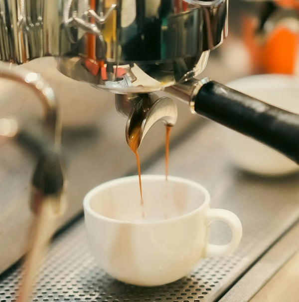 Corso BARISTA Livello Base (1 giorno)