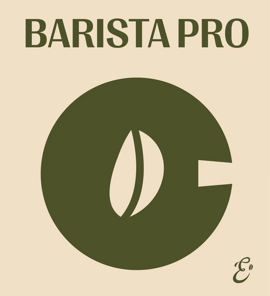 corso di formazione professionale di alto livello in sardegna